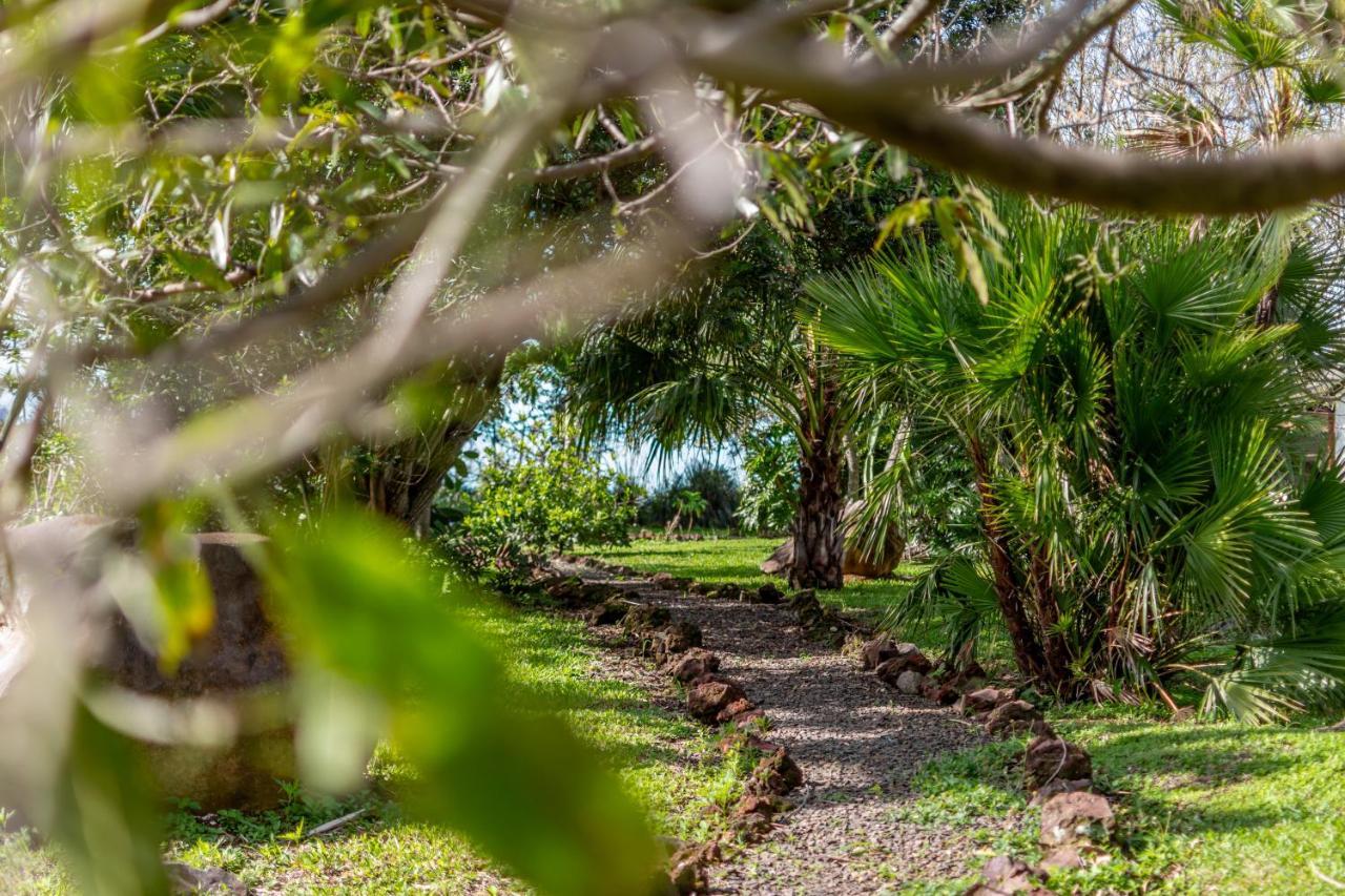 Villa Margarita Ánimas エクステリア 写真